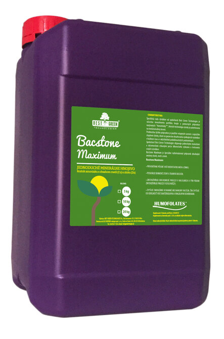 BACSTONE Maximum (10 kg)