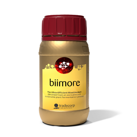 BIIMORE (1 L)