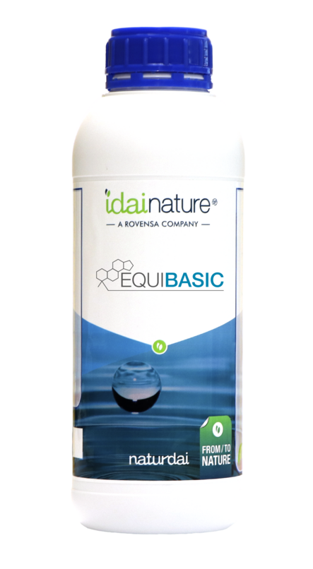 EQUIBASIC® (1L)